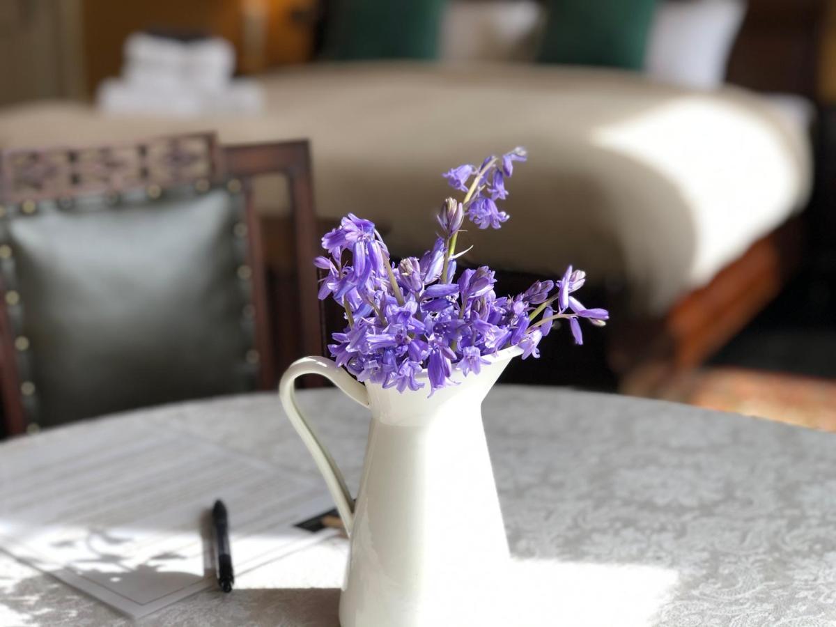 Lissanisky House Bed & Breakfast Ballymackey Eksteriør bilde